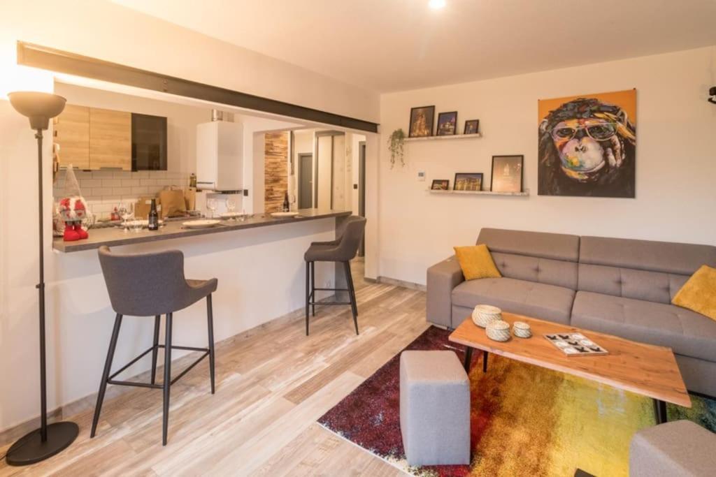 Appartement Le Saver'Zaru, Centre Ville, T2 55M² Saverne Buitenkant foto